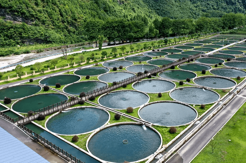 養(yǎng)殖密度控制.png